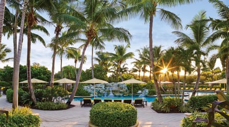 Palms trees flanking a pool deck